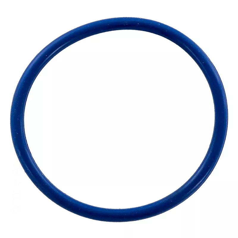 Diffuser O-Ring, IntelliFlo 3, IntelliPro 3, 356190Z