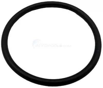 O-ring, Union (4600-5064)