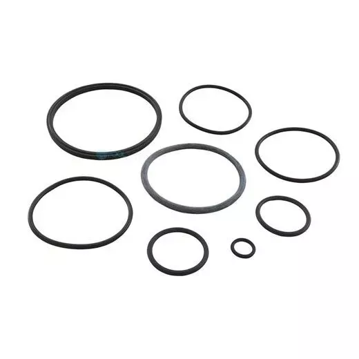 Zodiac Nature2 Fusion O-Ring Kit | R0502500